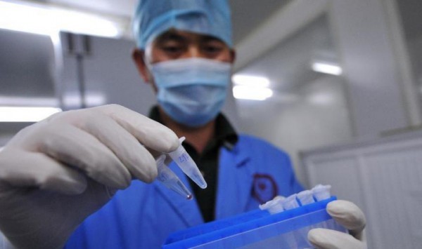 В Китае разработана вакцина от гриппа H7N9