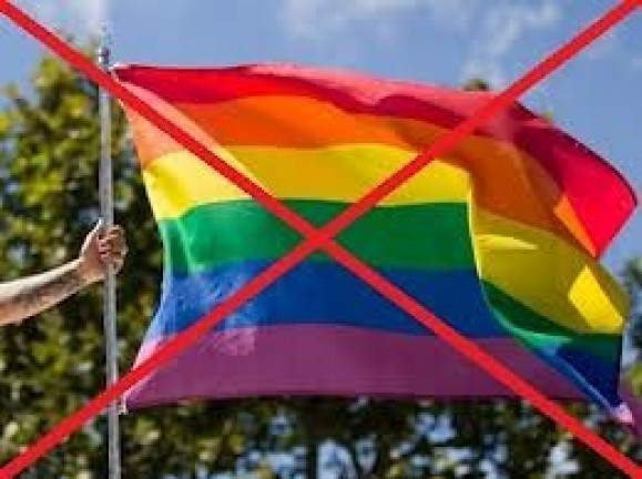 Власти восьми американских штатов вслед за Россией запретили гей-пропаганду