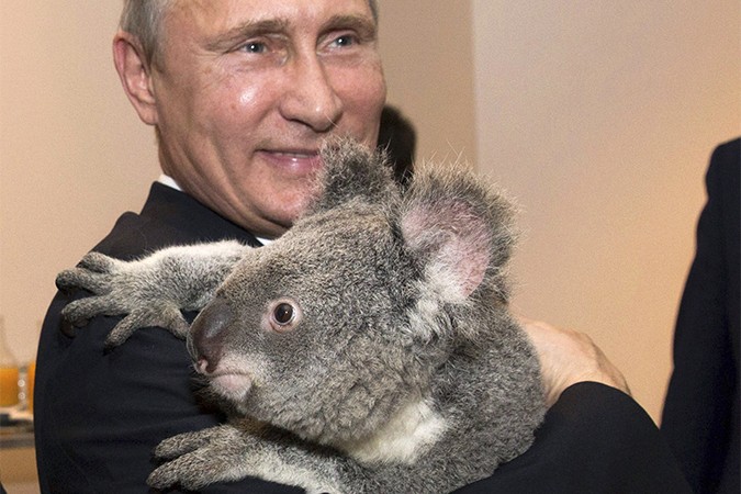Путин и коала. Реальные итоги G20