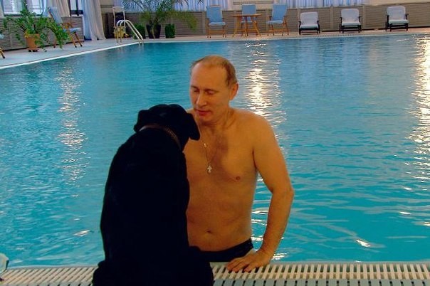 Путин жил. Путин жив! Путин будет жить?