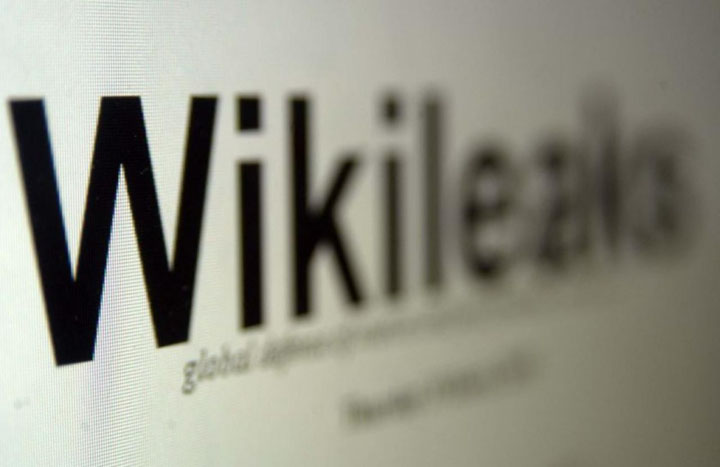 WikiLeaks: Эрдоган лично отдал приказ сбить российский самолет