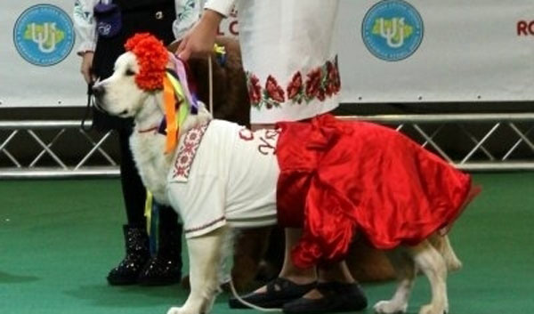В Киеве прошла выставка собачьих вышиванок