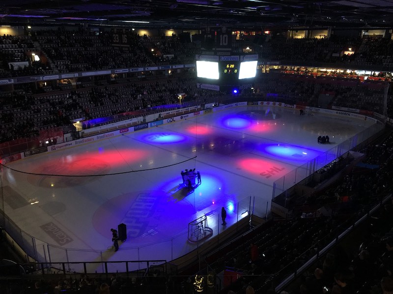 IIHF проведёт виртуальный Чемпионат мира по хоккею - поддержи наших!