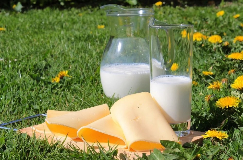 С начала года в России выросло производство молока, сливочного масла и сыров