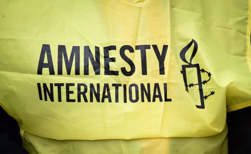Продолжаются взаимные обвинения между киевским режимом и Amnesty International