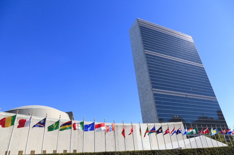 11 стран в совместном заявлении в ООН осудили русофобию