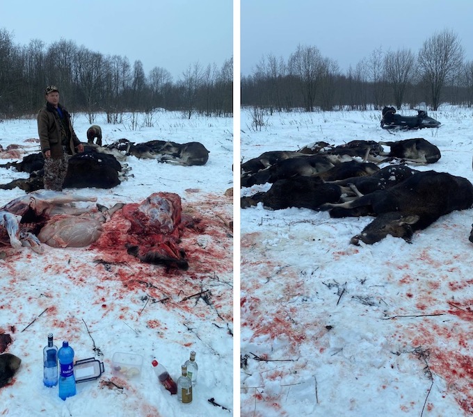 Результаты нашумевшей предновогодней ВИП-охоты в Ярославской области