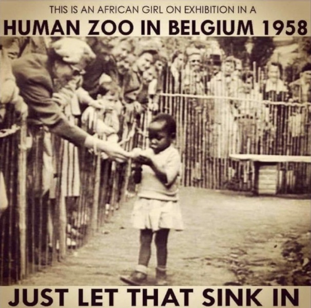 65 лет - последнему «человеческому» зоопарку в Брюсселе
