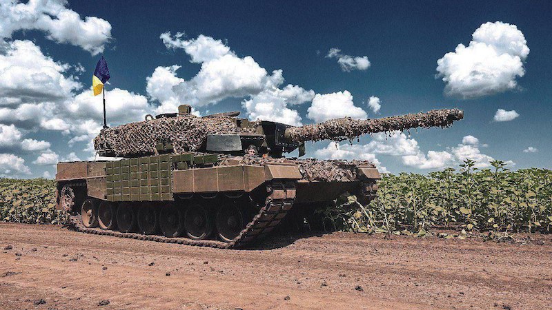  Leopard 24    