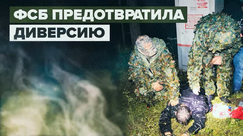 ФСБ задержала жителя Псковской области за попытку поджечь релейный шкаф