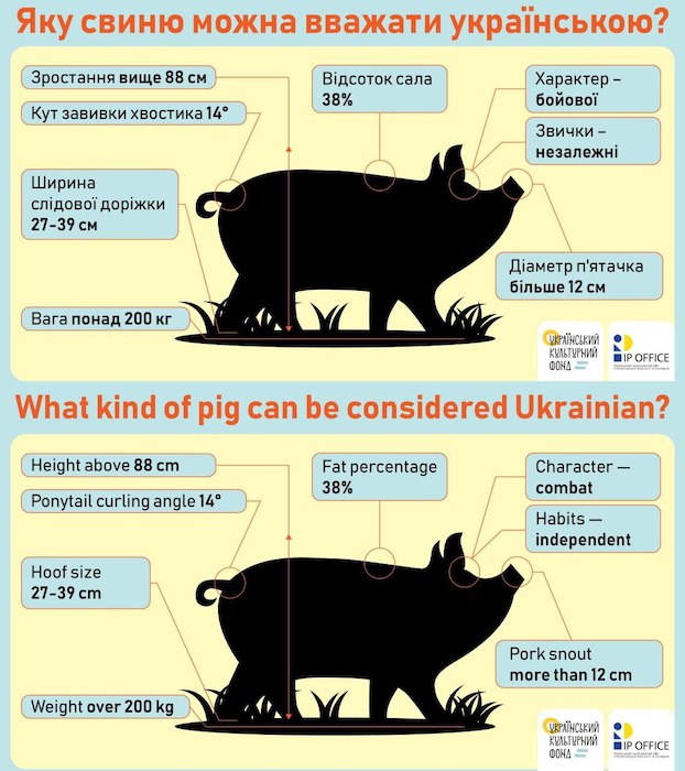 Украинцы разработали расово правильную свинью