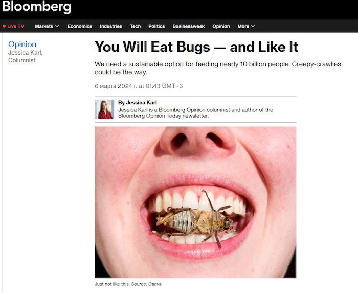 Вы будете есть жуков и вам это понравится - Bloomberg