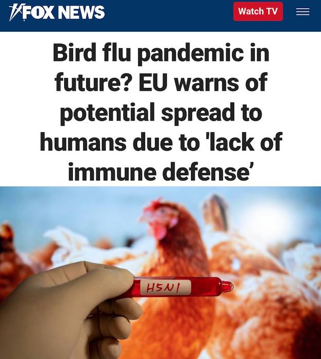 ЕС предупреждает об эпидемии птичьего гриппа