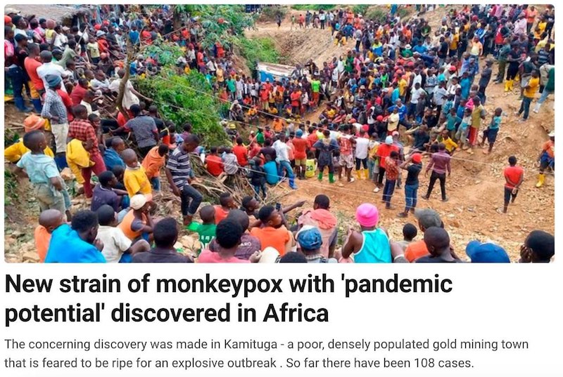 В Конго обнаружен новый штамм оспы обезьян с «пандемическим потенциалом»
