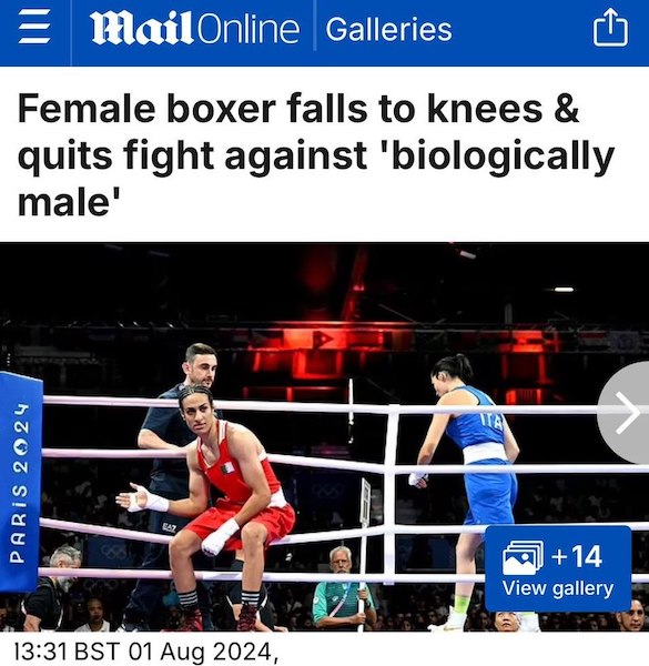 «Идентифицирующий себя как женщина» мужчина-боксёр вырубает женщин
