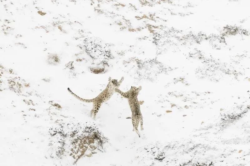    Nature Photographer of the Year