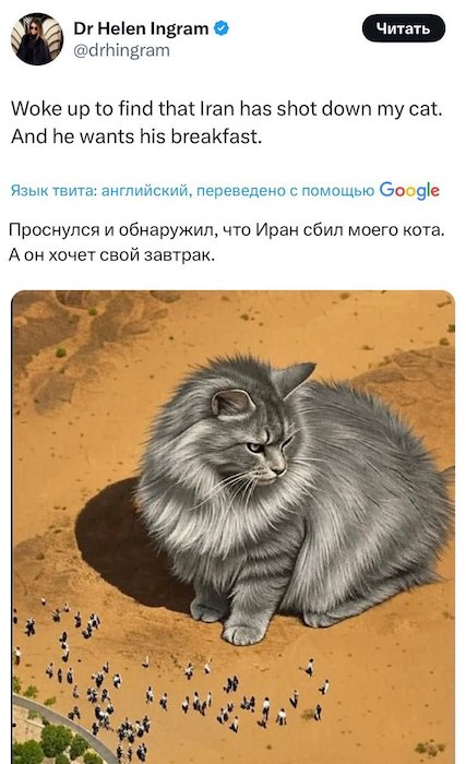 Иранские власти заявил, что сбили израильский истребитель F-35 Иранские власти заявил, что сбили израильский истребитель F-35