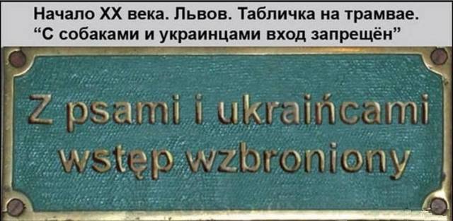 Вышиванка для собак Вышиванка для собак