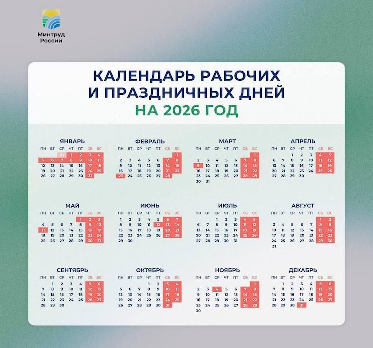      2026 .