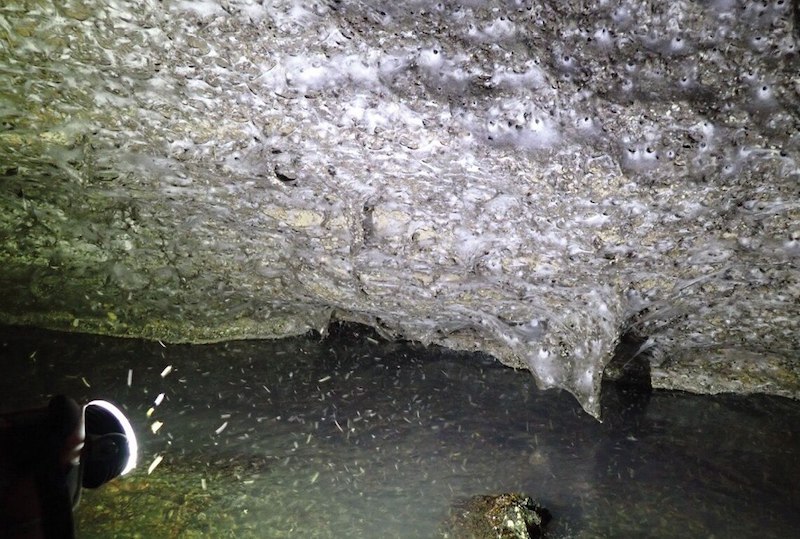  :      106 &#178;    111  