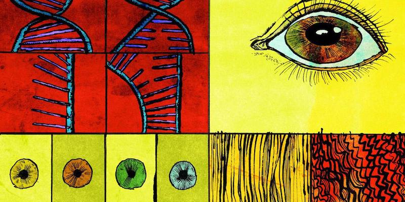 В США работают над созданием генно‑модифицированных детей