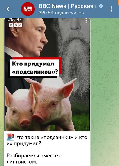 Западные СМИ ведут расследование
