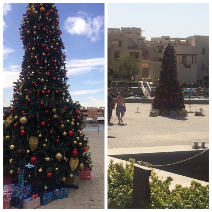 ����������� ���� � ���������