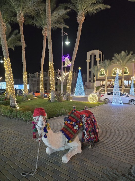 ����������� ���� � ���������