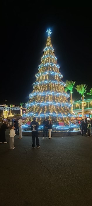 ����������� ���� � ���������