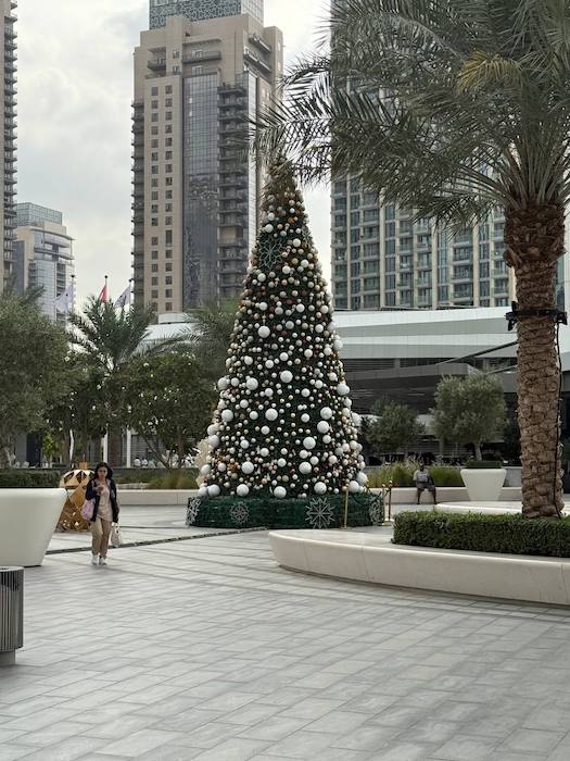 ����������� ���� � ���������