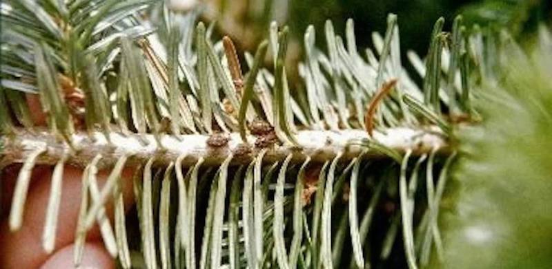 �������� ����� ������� �������� � ������ � ����������