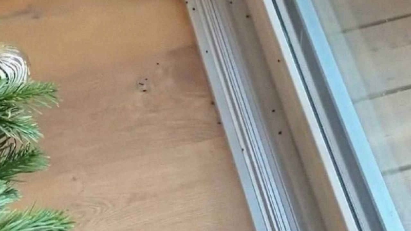 �������� ����� ������� �������� � ������ � ����������