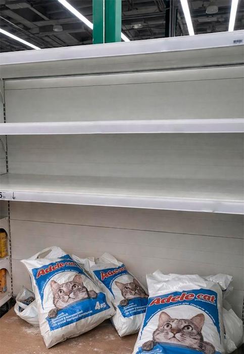 �������� ������� ������� ������� ����������� � �������� ������ � �����