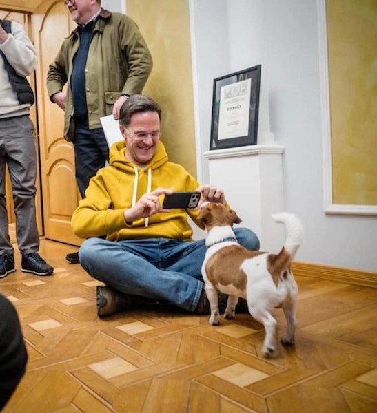 ���������