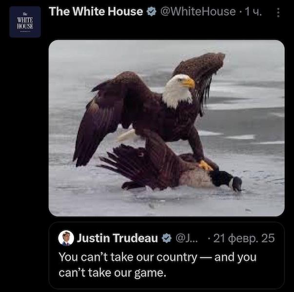 Белый дом высмеял Канаду после победы сборной США