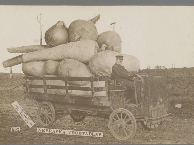 Аналоговый обман: как подделывали реальность за 150 лет до появления Photoshop Аналоговый обман: как подделывали реальность за 150 лет до появления Photoshop