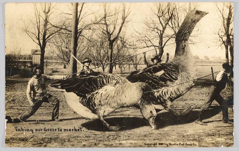 Аналоговый обман: как подделывали реальность за 150 лет до появления Photoshop Аналоговый обман: как подделывали реальность за 150 лет до появления Photoshop