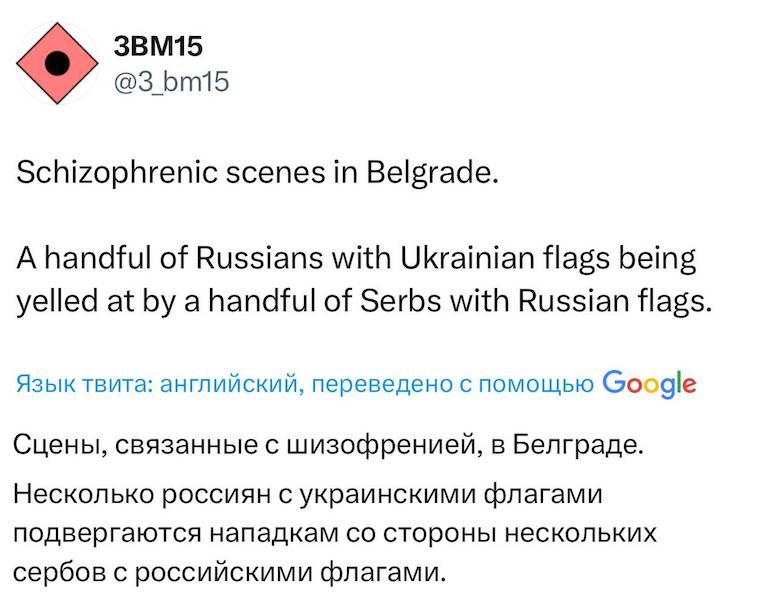 В Белграде сербы сорвали заукраинский митинг российских релокантов В Белграде сербы сорвали заукраинский митинг российских релокантов