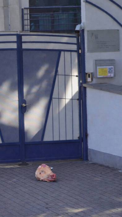 ������� � ���������: ������ ������ � ���������� ������� � ������ ����� ������