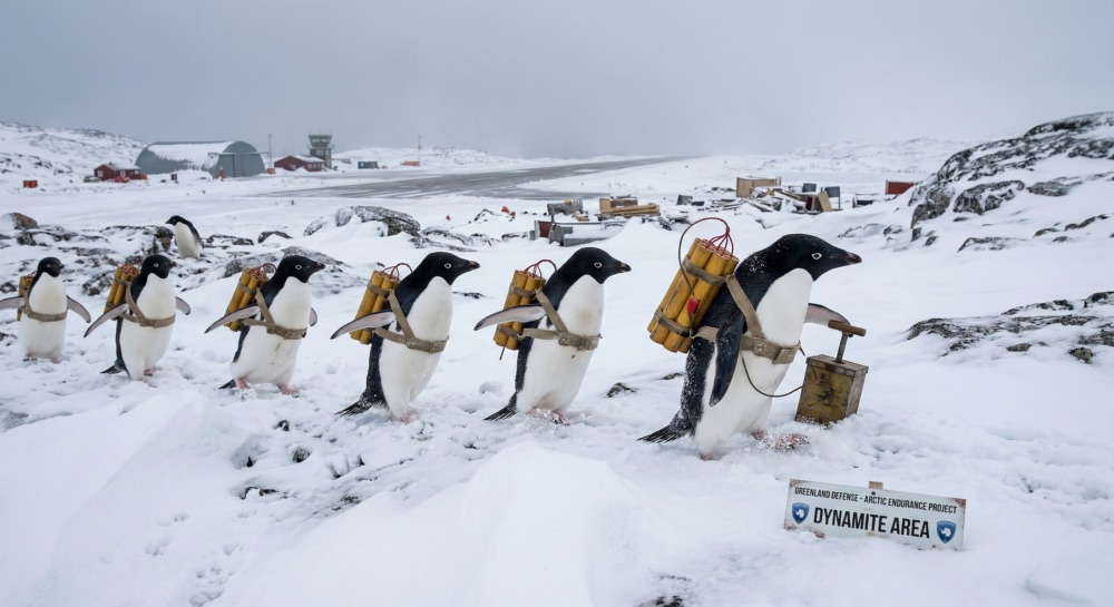 ����� ����������� ��������� ��� � ���������� ��� ��������� ���