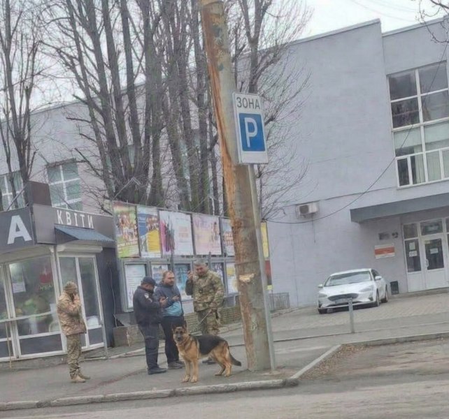 ��������� � �������� � �������������� �������������� ���������