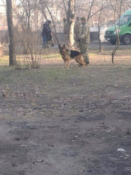 ��������� � �������� � �������������� �������������� ���������