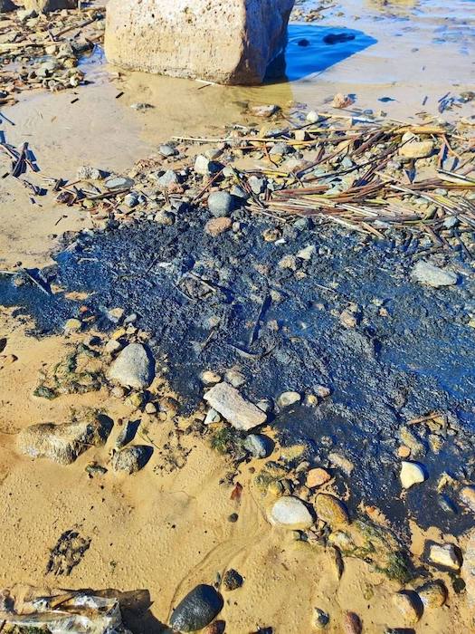 ����-����. ����������� �����