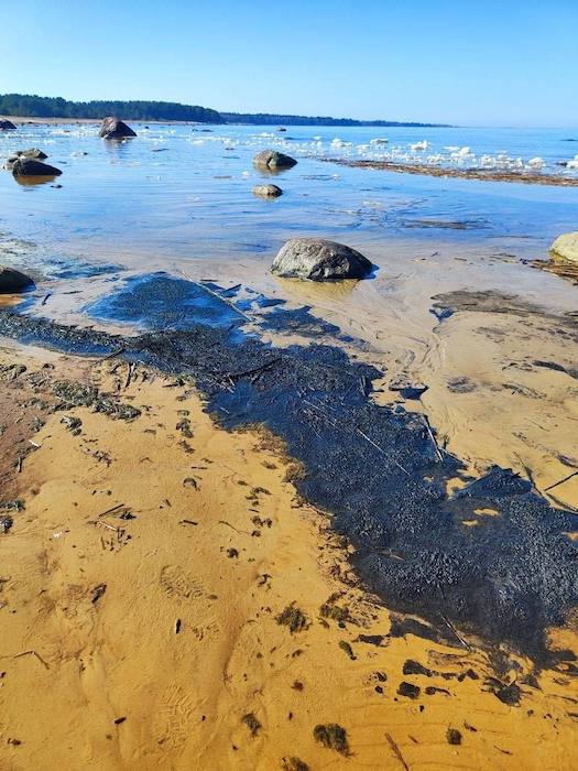 ����-����. ����������� �����