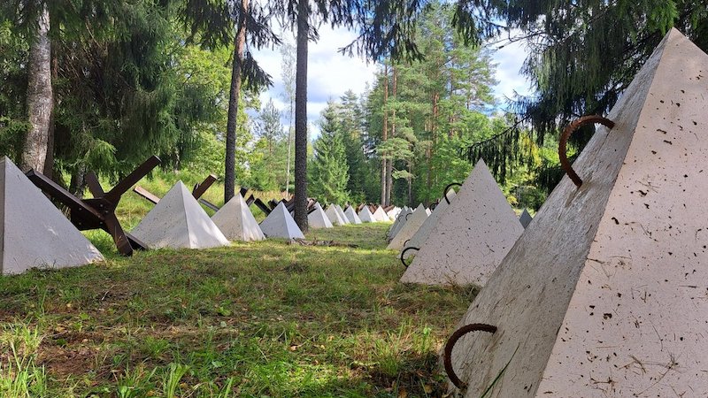 Власти Латвии решили установить на границе с Россией «зубы дракона»