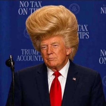 Интернет сошел с ума по волосам Трампа Интернет сошел с ума по волосам Трампа
